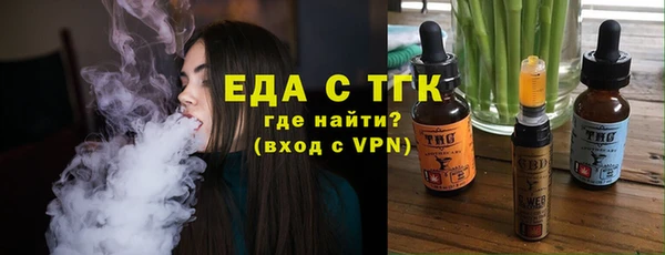 хмурый Каменка