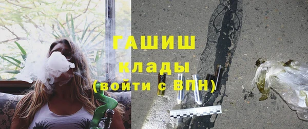 хмурый Каменка