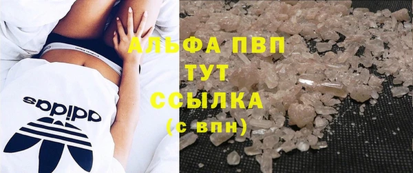 прущие крисы Карпинск