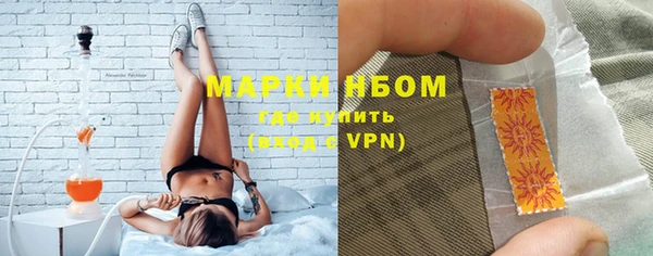 хмурый Каменка