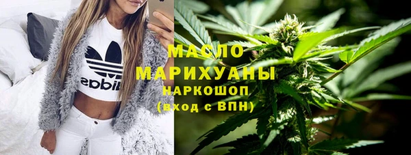 хмурый Каменка