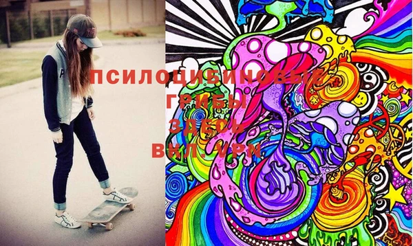 прущие крисы Карпинск